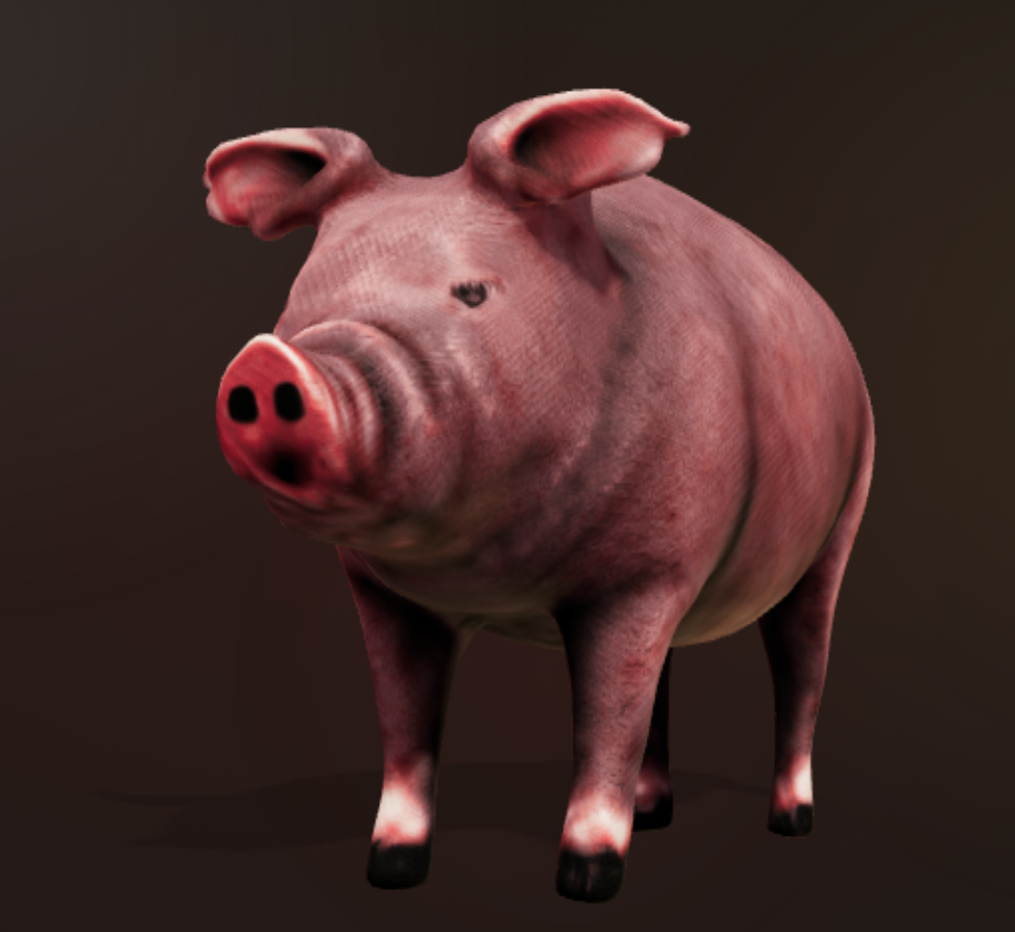 Aperçu de la visualisation 3D des morceaux de viande