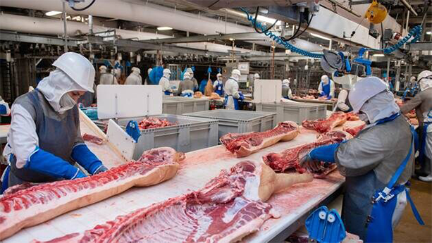 Atelier de désossage de porc